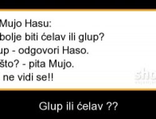 Vicevi o Muji i Hasi